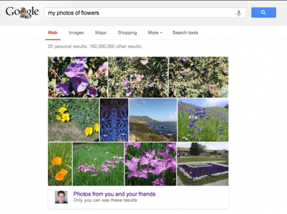 “我的花朵照片”搜索结果